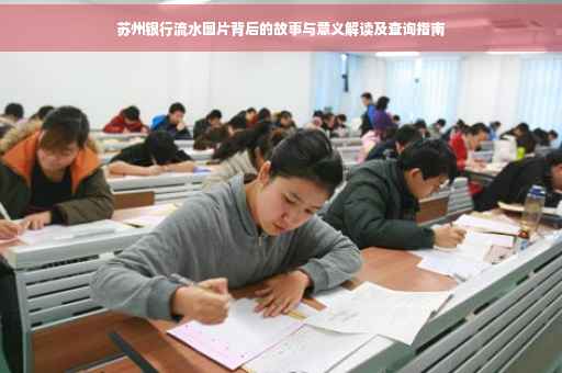 苏州银行流水图片背后的故事与意义解读及查询指南