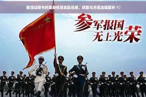 医保证明书的重要性及实际应用，获取与开具流程解析 ?✨
