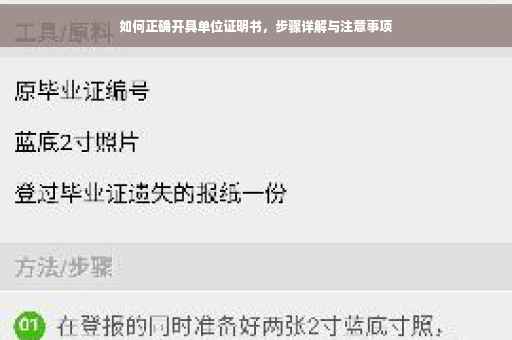 如何正确开具单位证明书，步骤详解与注意事项
