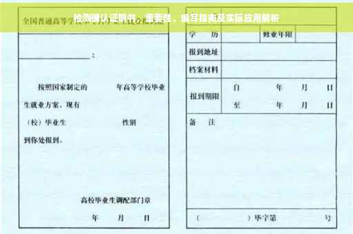 检测确认证明书，重要性、编写指南及实际应用解析