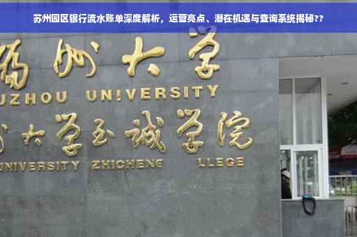 苏州园区银行流水账单深度解析，运营亮点、潜在机遇与查询系统揭秘??