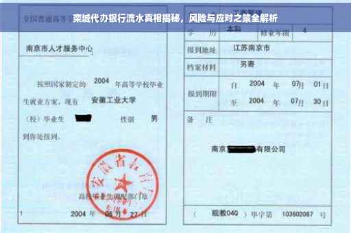 栾城代办银行流水真相揭秘，风险与应对之策全解析