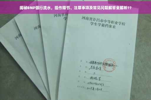 揭秘BNP银行流水，操作细节、注意事项及常见问题解答全解析??