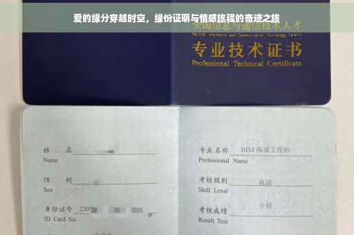 爱的缘分穿越时空，缘份证明与情感旅程的奇迹之旅
