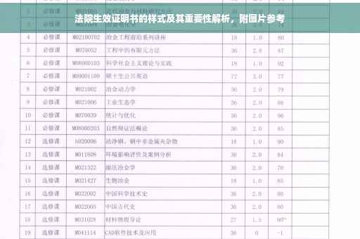 法院生效证明书的样式及其重要性解析，附图片参考