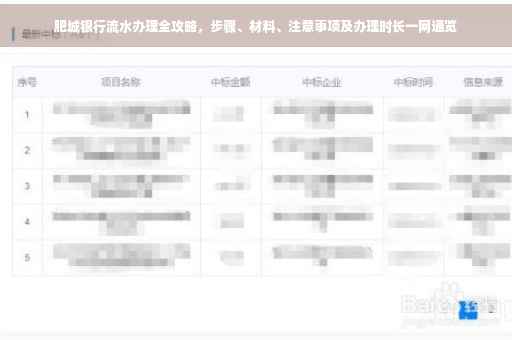 肥城银行流水办理全攻略，步骤、材料、注意事项及办理时长一网通览
