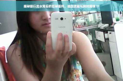 揭秘银行流水背后的隐秘案件，追踪流程与耗时揭晓 ??