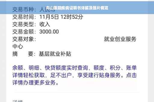舟山医院疾病证明书详解及图片概览