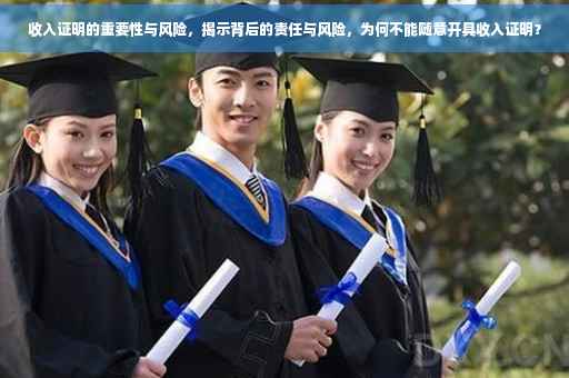 收入证明的重要性与风险，揭示背后的责任与风险，为何不能随意开具收入证明？