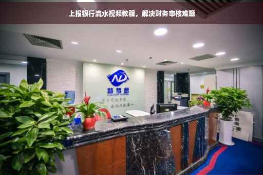 上报银行流水视频教程，解决财务审核难题