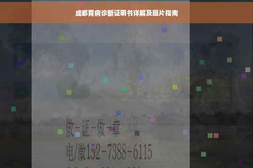 成都胃病诊断证明书详解及图片指南