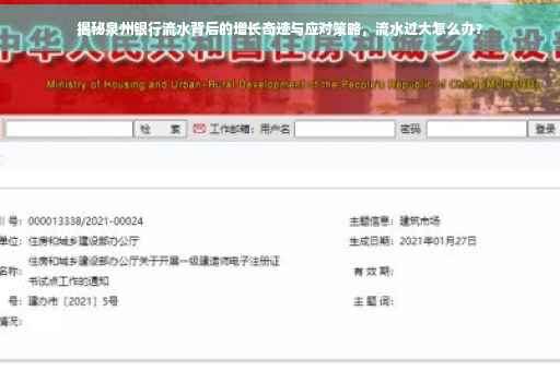 揭秘泉州银行流水背后的增长奇迹与应对策略，流水过大怎么办？