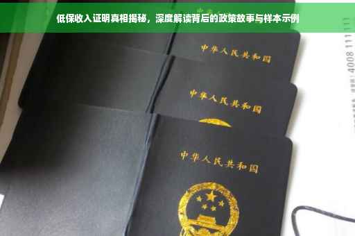 低保收入证明真相揭秘，深度解读背后的政策故事与样本示例