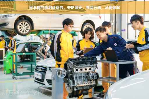 河北尾气检测证明书，守护蓝天，共同行动，从我做起