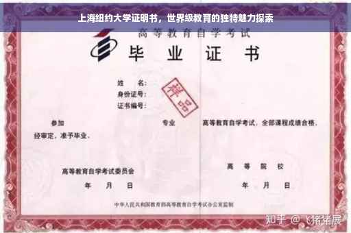 上海纽约大学证明书，世界级教育的独特魅力探索