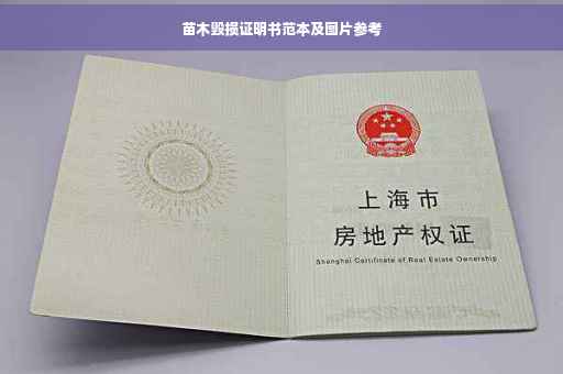 苗木毁损证明书范本及图片参考