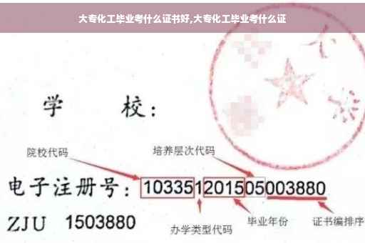 大专化工毕业考什么证书好,大专化工毕业考什么证