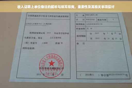 收入证明上单位备注的解析与填写指南，重要性及其相关事项探讨