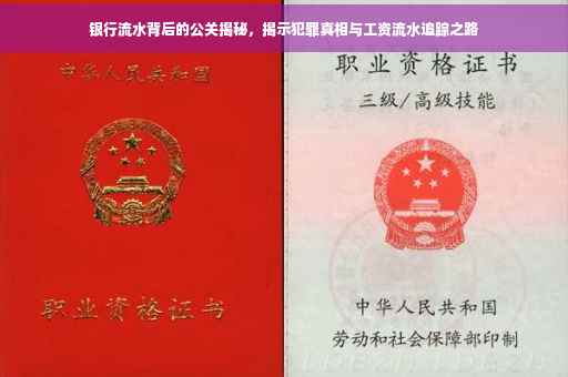 银行流水背后的公关揭秘，揭示犯罪真相与工资流水追踪之路
