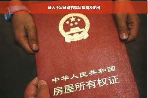 证人手写证明书撰写指南及范例