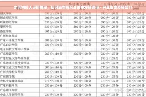 定西市收入证明揭秘，探寻真实情况与未来发展路径 - 开具指南及展望??