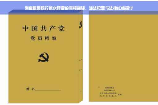 淘宝做假银行流水背后的真相揭秘，违法犯罪与法律红线探讨