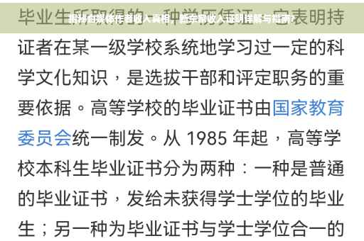 揭秘自媒体作者收入真相，新东家收入证明详解与指南?
