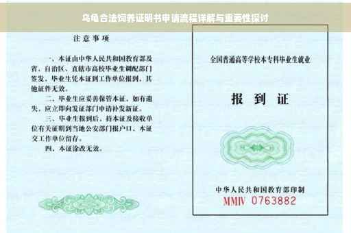 乌龟合法饲养证明书申请流程详解与重要性探讨