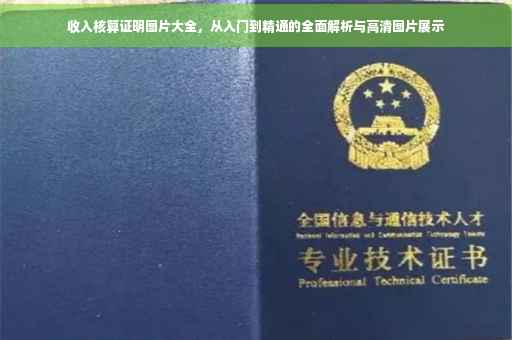 收入核算证明图片大全，从入门到精通的全面解析与高清图片展示