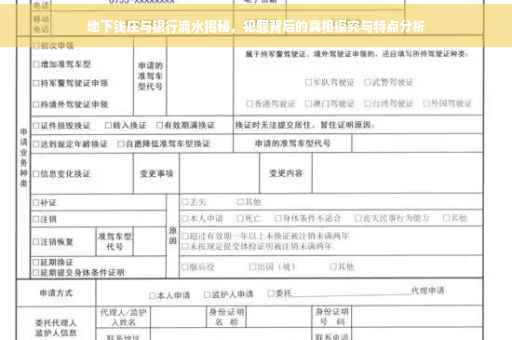 地下钱庄与银行流水揭秘，犯罪背后的真相探究与特点分析