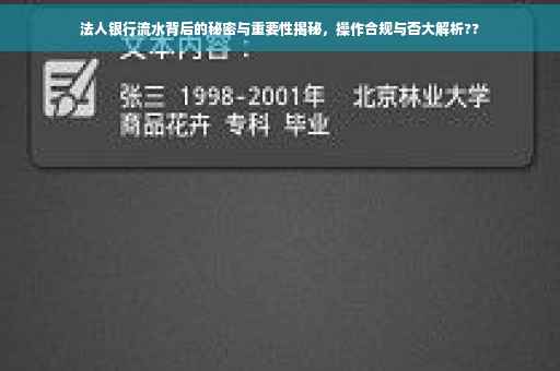 法人银行流水背后的秘密与重要性揭秘，操作合规与否大解析??