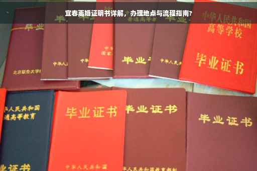 宜春离婚证明书详解，办理地点与流程指南?