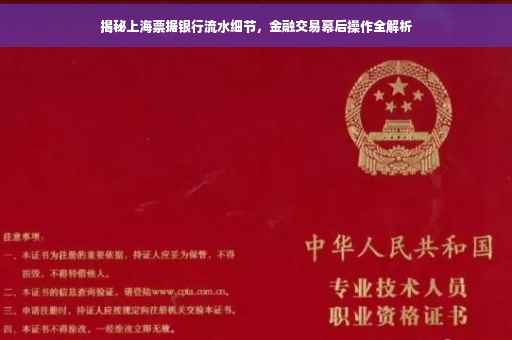 揭秘上海票据银行流水细节，金融交易幕后操作全解析