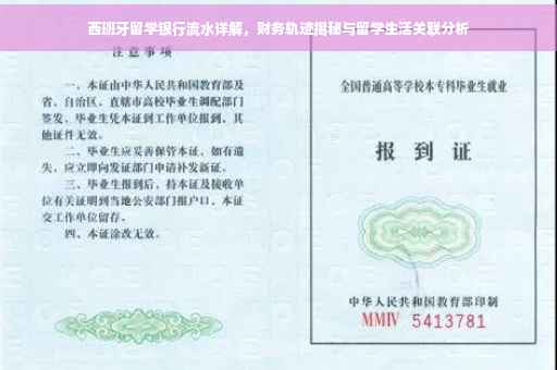 西班牙留学银行流水详解，财务轨迹揭秘与留学生活关联分析