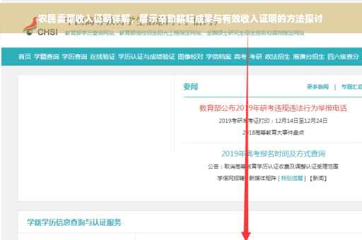 农民卖菜收入证明详解，展示辛勤耕耘成果与有效收入证明的方法探讨