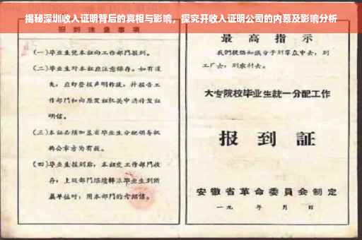 揭秘深圳收入证明背后的真相与影响，探究开收入证明公司的内幕及影响分析