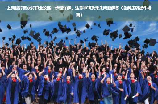 上海银行流水打印全攻略，步骤详解、注意事项及常见问题解答（含解压码操作指南）