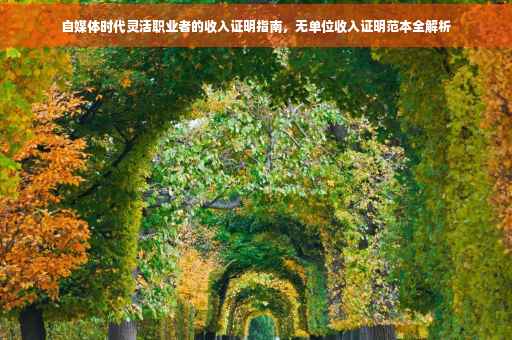 自媒体时代灵活职业者的收入证明指南，无单位收入证明范本全解析
