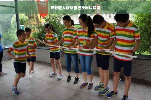 贷款收入证明模板及图片指南