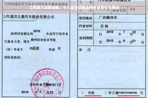 工作收入证明详解，个人经济证明文件的重要性与概述
