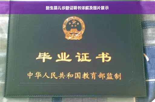 新生婴儿诊断证明书详解及图片展示