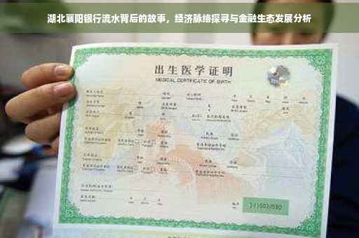 湖北襄阳银行流水背后的故事，经济脉络探寻与金融生态发展分析