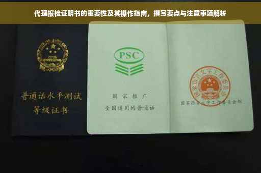 代理报检证明书的重要性及其操作指南，撰写要点与注意事项解析