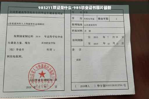 985211双证是什么-985毕业证书图片最新