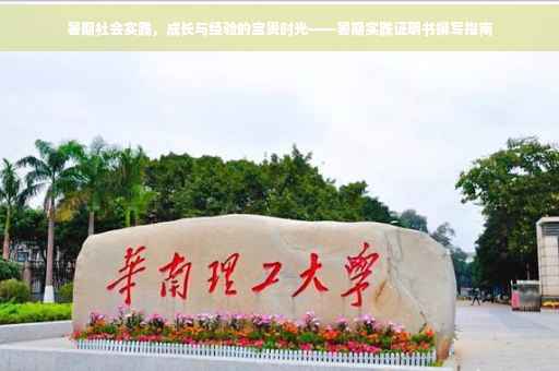 暑期社会实践，成长与经验的宝贵时光——暑期实践证明书撰写指南
