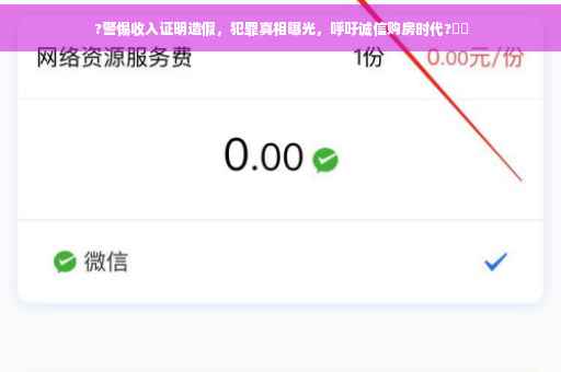 ?警惕收入证明造假，犯罪真相曝光，呼吁诚信购房时代?⚡️