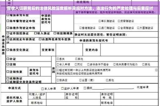 假收入证明背后的法律风险深度解析及应对方法，违法行为的严肃处理与后果探讨