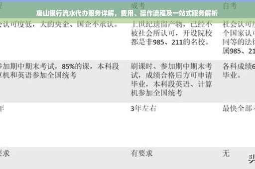 唐山银行流水代办服务详解，费用、操作流程及一站式服务解析