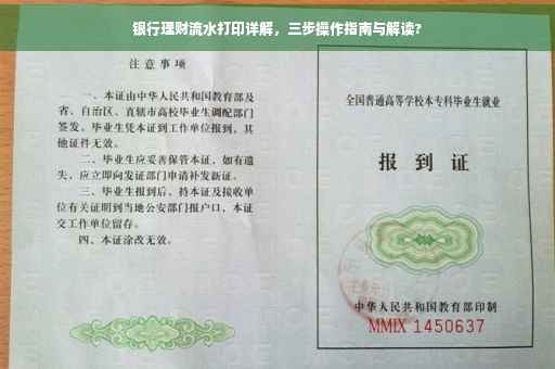 银行理财流水打印详解，三步操作指南与解读?