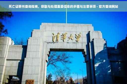 死亡证明书查询指南，获取与处理重要信息的步骤与注意事项 - 官方查询网站